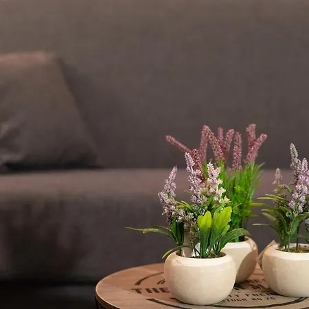 Ariadne Cozy Beautiful * Candia